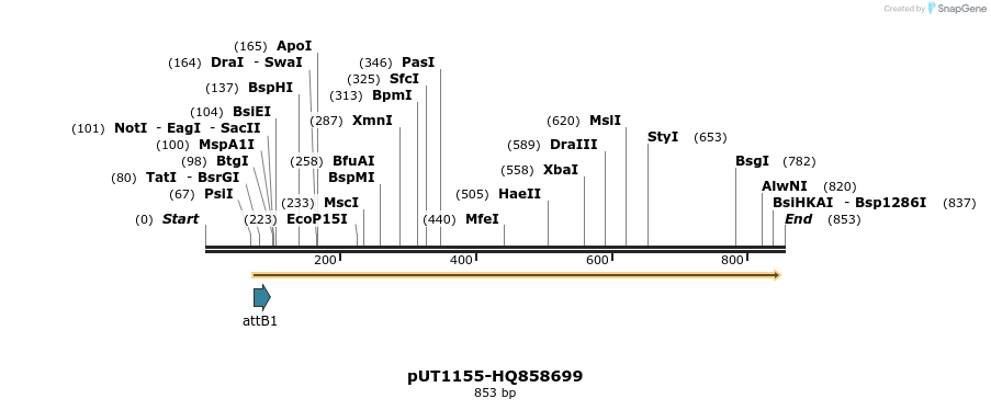 34071_map