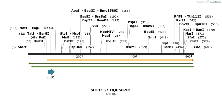 34073_map
