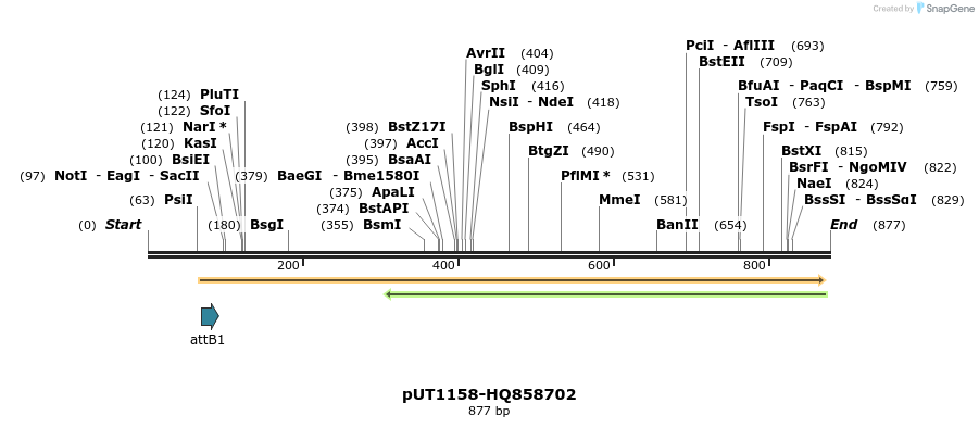 34074_map
