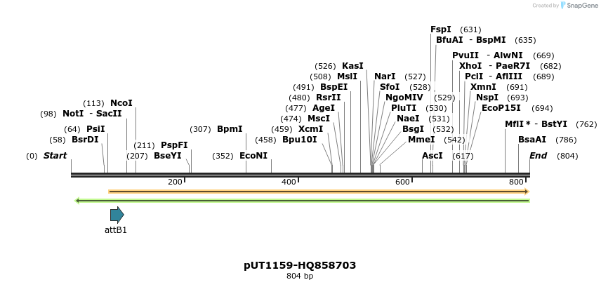 34075_map