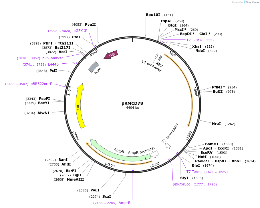 340754_map