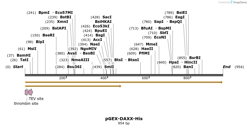 340764_map