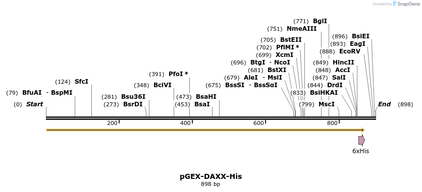 340765_map