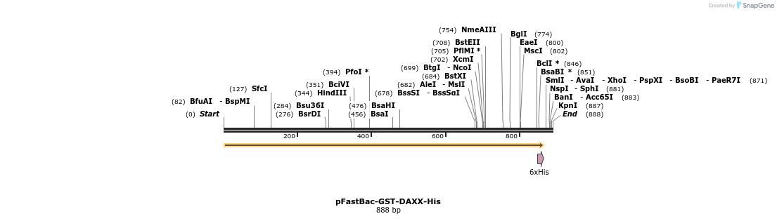 340771_map