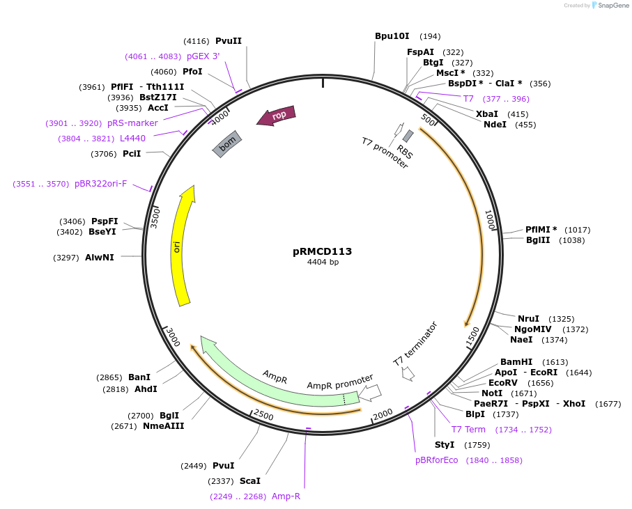340774_map