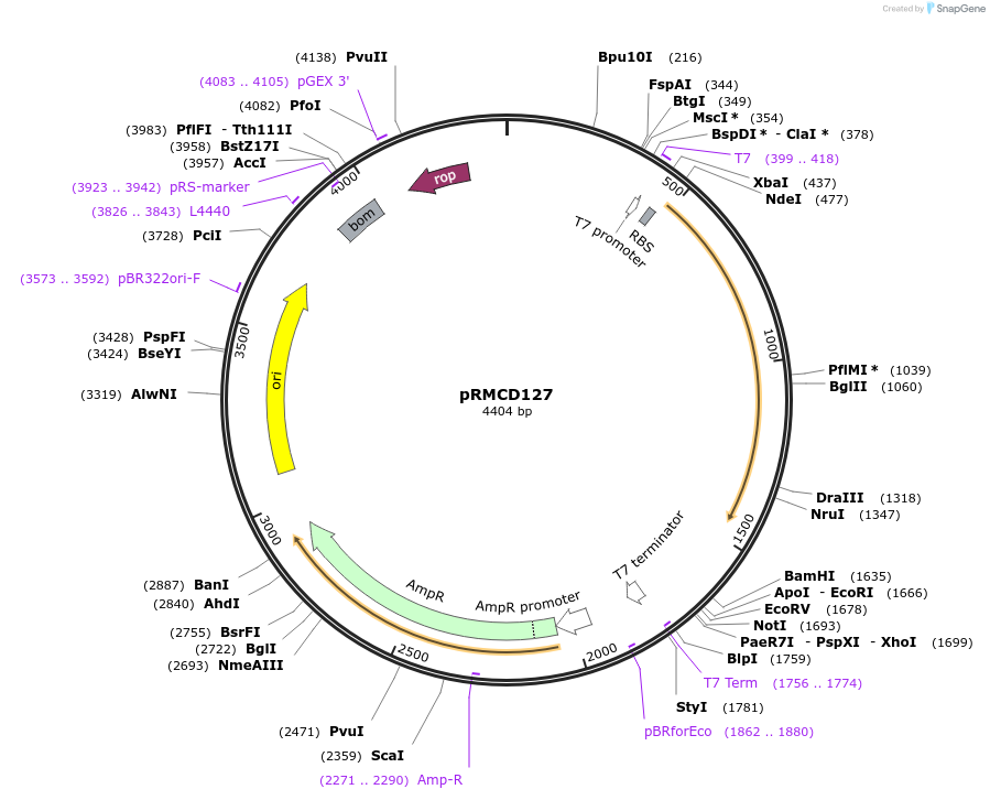 340788_map