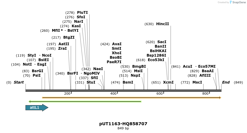 34079_map