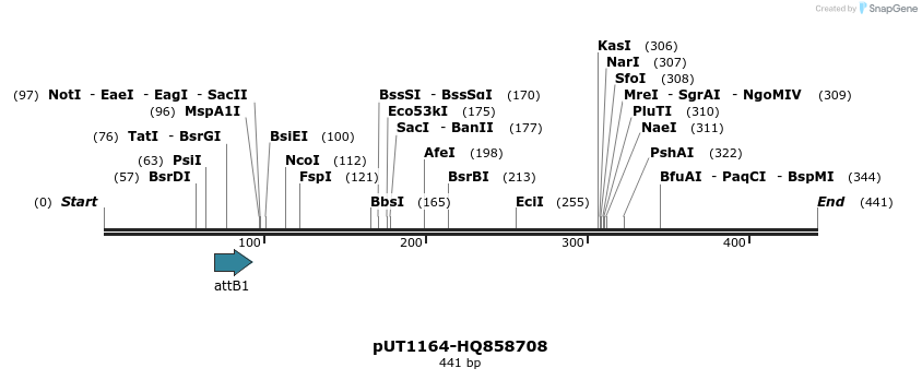 34080_map