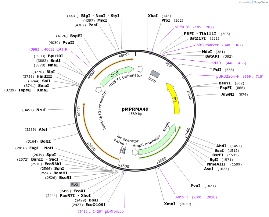340809_map