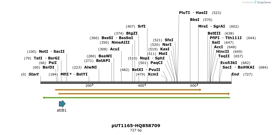 34081_map