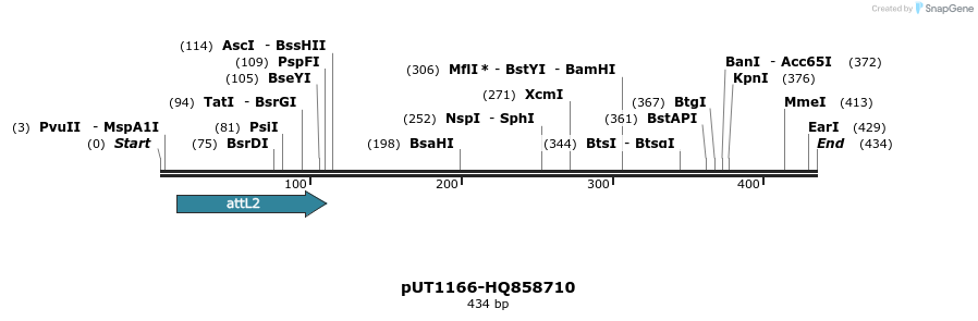 34082_map