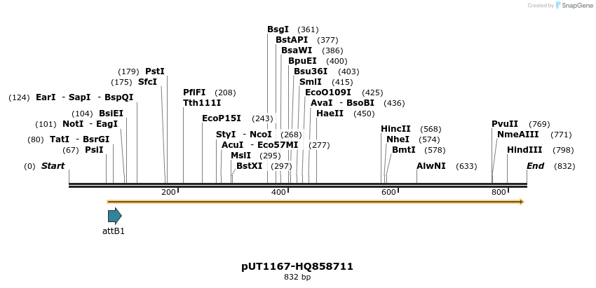 34083_map