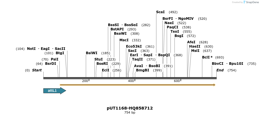 34084_map