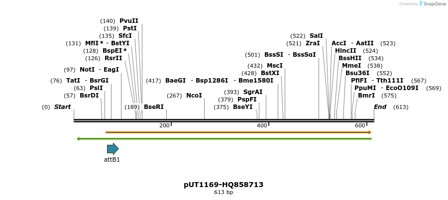 34085_map