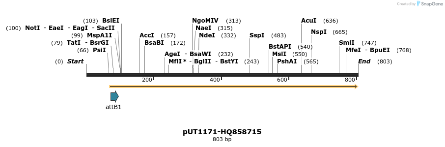 34087_map