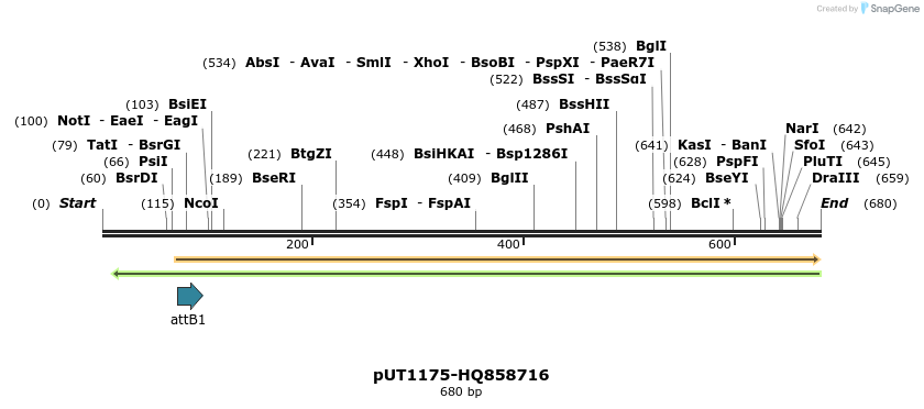 34088_map