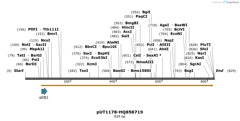 34091_map