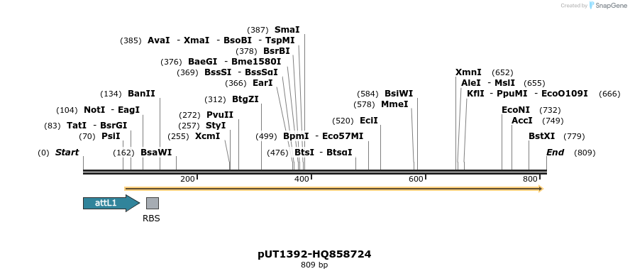 34096_map