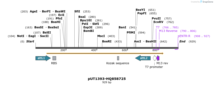34097_map