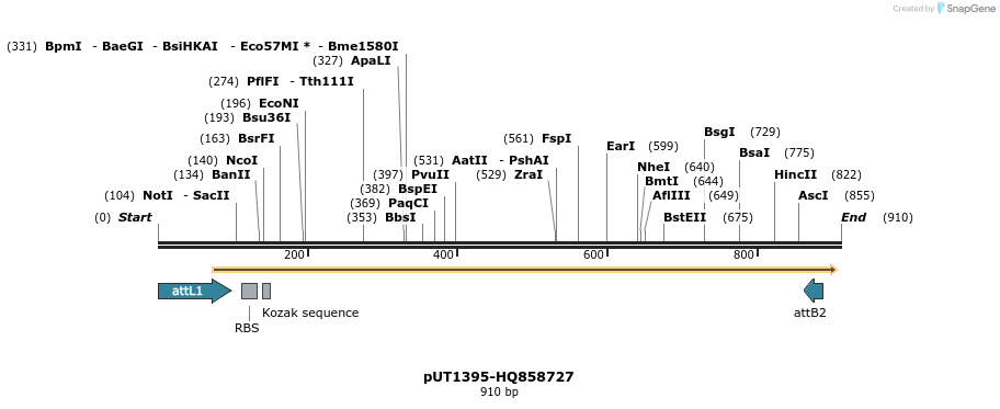34099_map