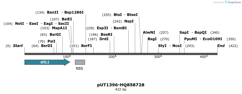 34100_map