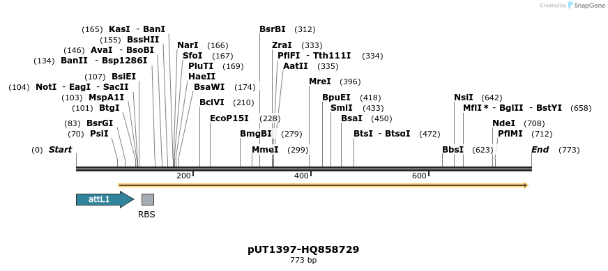 34101_map