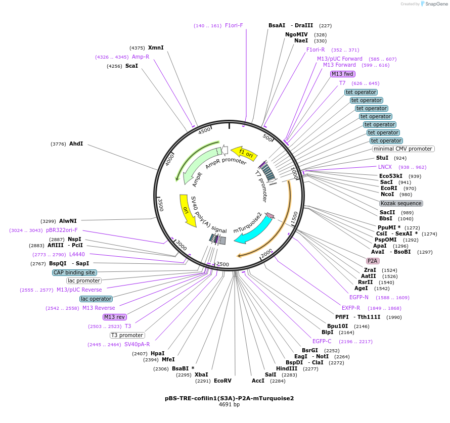 341010_map