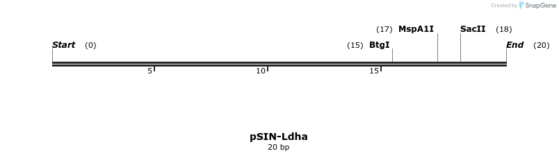 341019_map