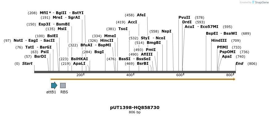 34102_map