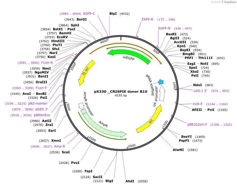 341020_map