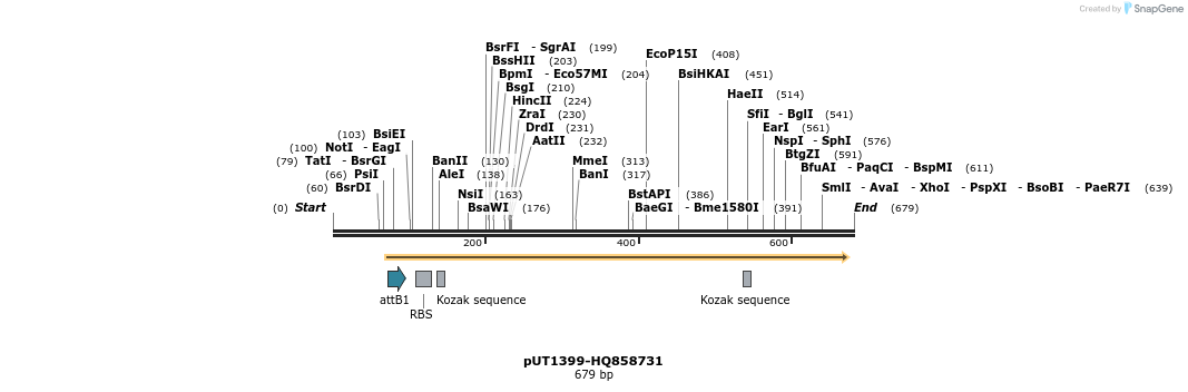 34103_map
