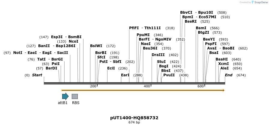 34104_map