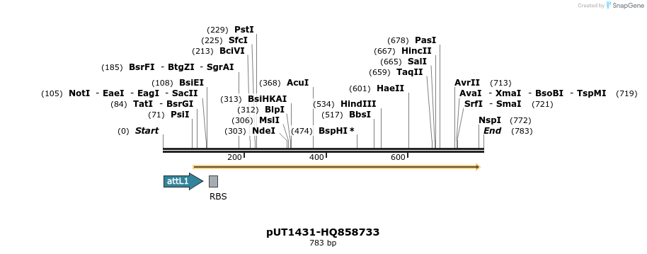 34105_map