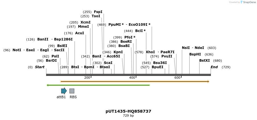 34109_map