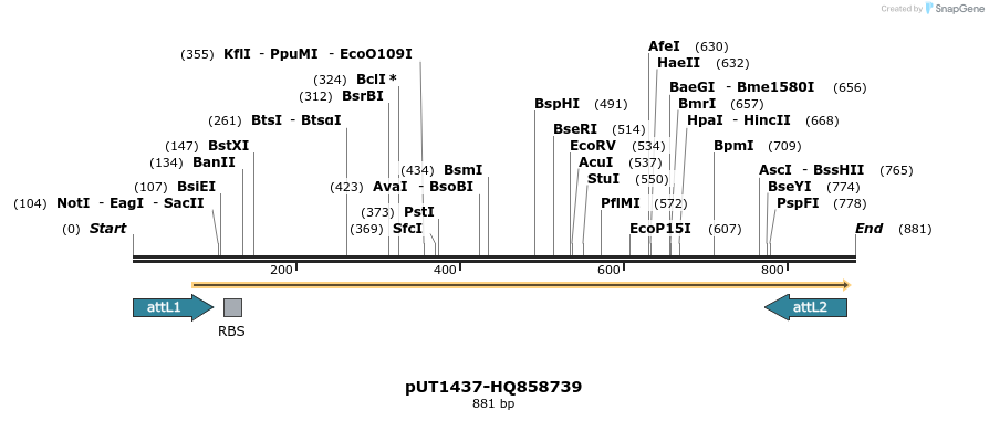 34111_map