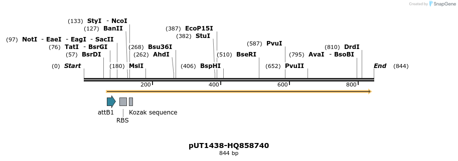 34112_map