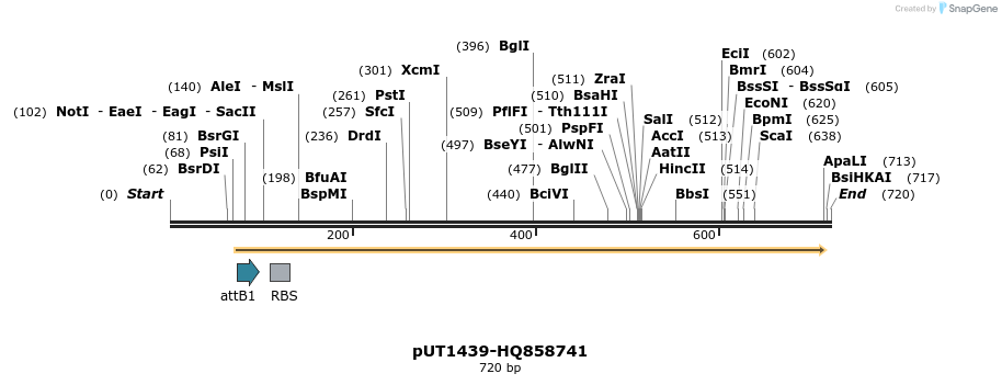 34113_map