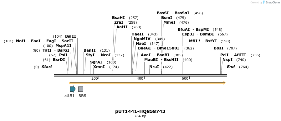 34115_map
