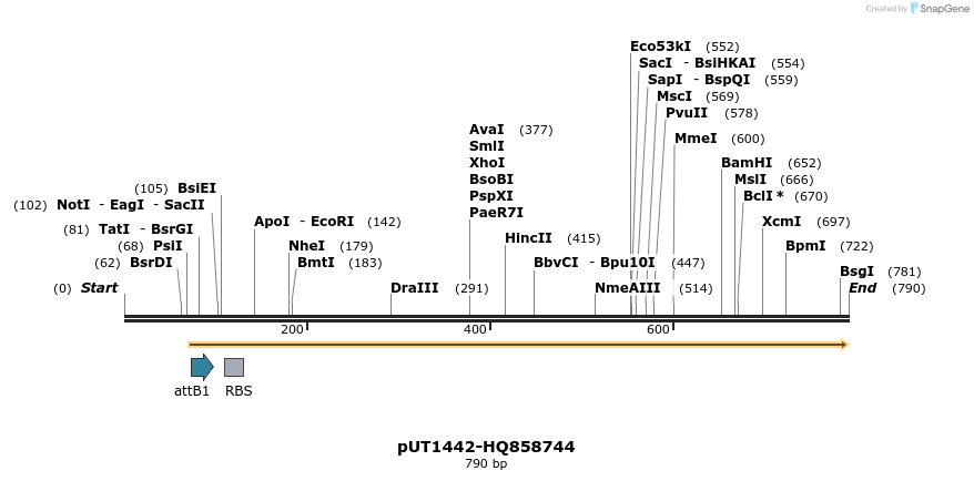 34116_map