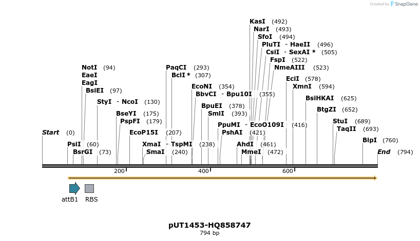 34119_map