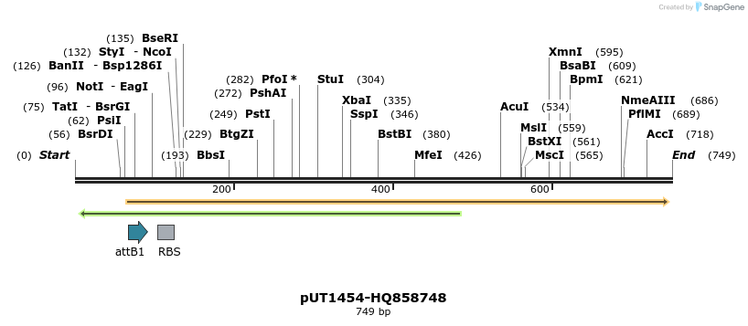 34120_map