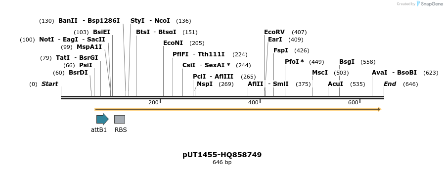 34121_map