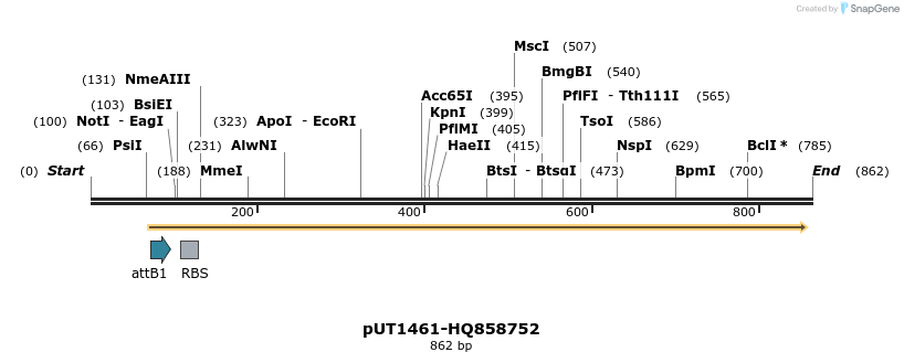 34124_map
