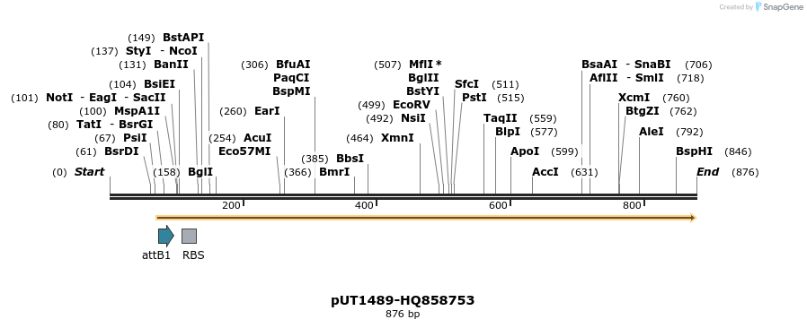 34125_map