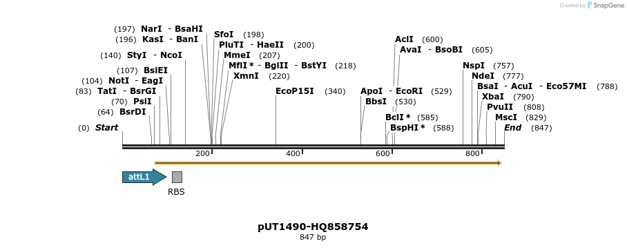 34126_map