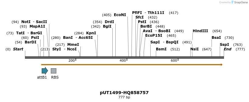 34129_map
