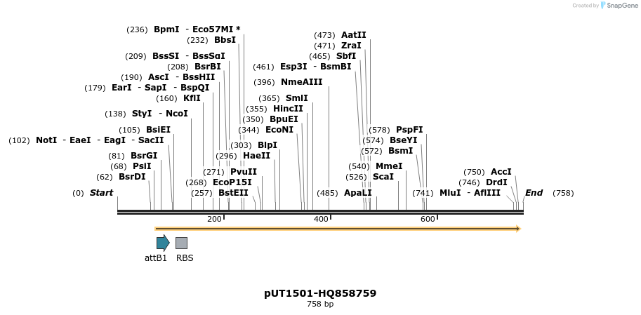 34131_map