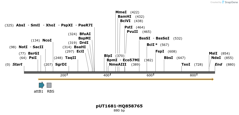 34137_map