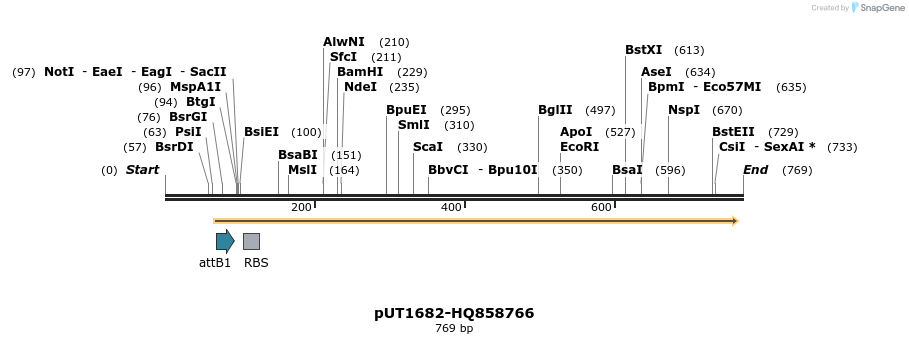 34138_map