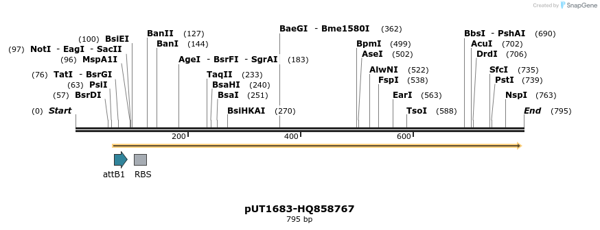 34139_map
